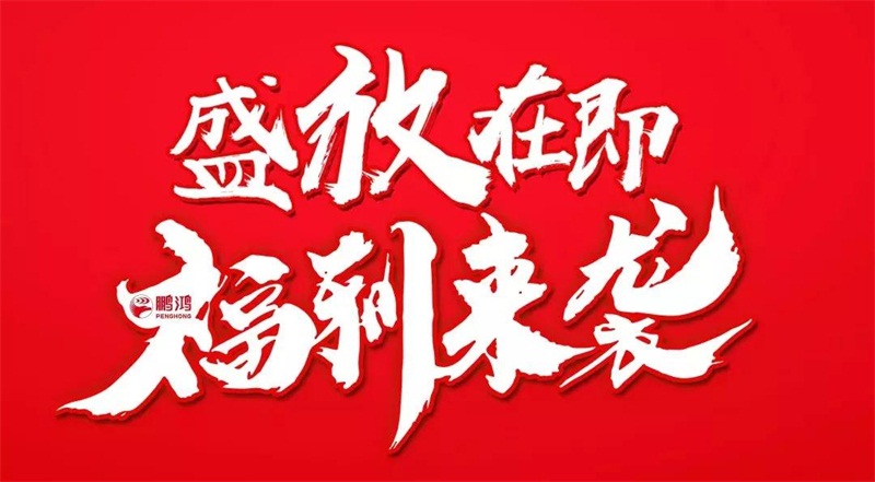 再拓领土！永利集团官网We+定制&红星美凯龙携手亮相乌鲁木齐