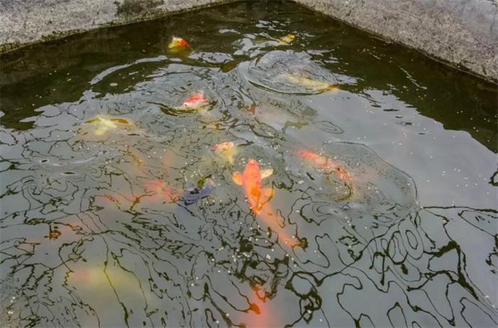 永利·yl(中国集团)有限公司官网