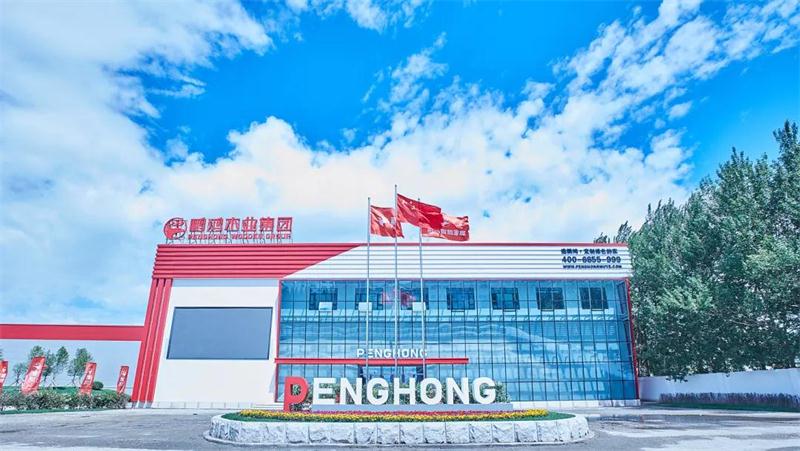 永利集团官网“定制家”升级“梦想家”