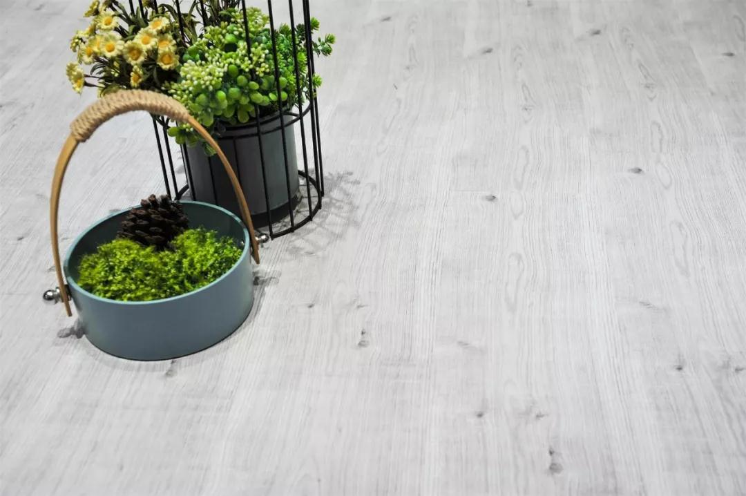 永利集团官网强化地板伊丽莎白系列-5806