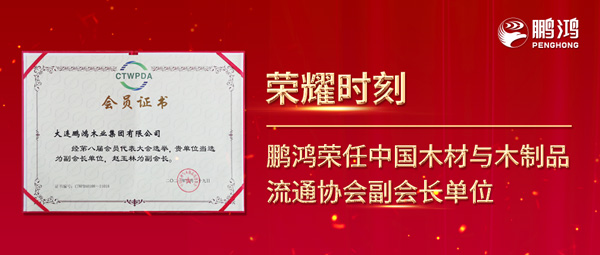 再获行业肯定，，，，永利集团官网荣任中国木料与木制品流通协会副会长