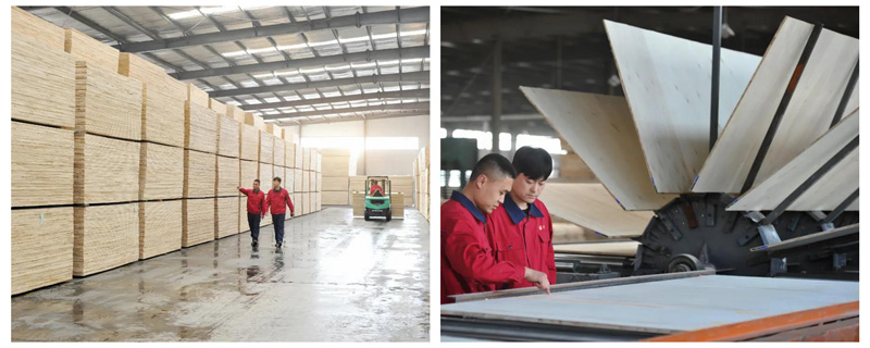 永利·yl(中国集团)有限公司官网