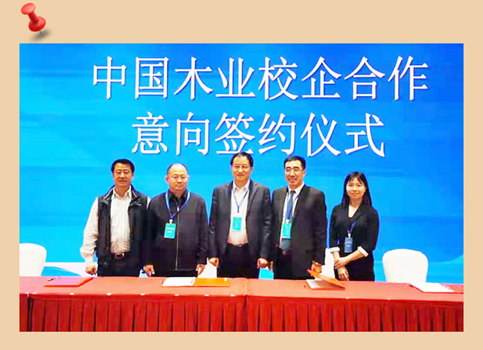 永利集团官网与中国木业相助