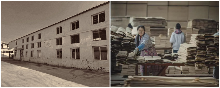 永利·yl(中国集团)有限公司官网