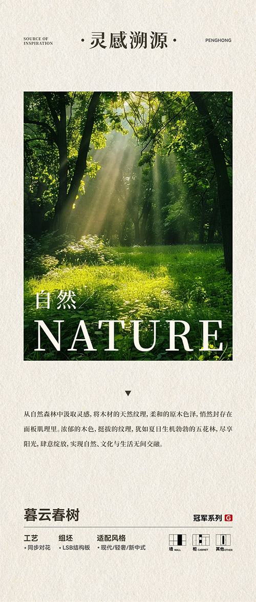 永利集团官网LSB结构板