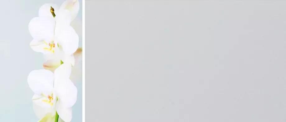 永利·yl(中国集团)有限公司官网