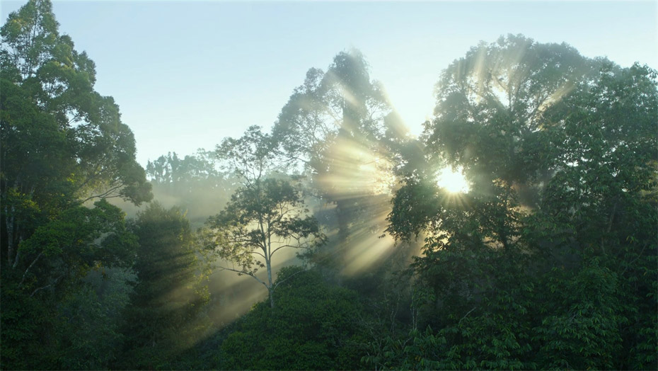 永利·yl(中国集团)有限公司官网