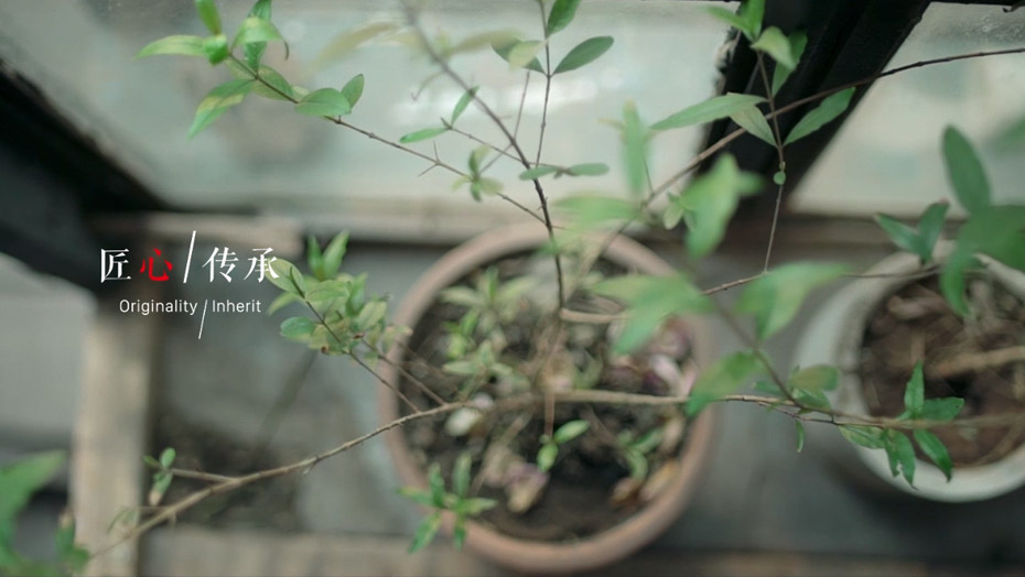 永利·yl(中国集团)有限公司官网