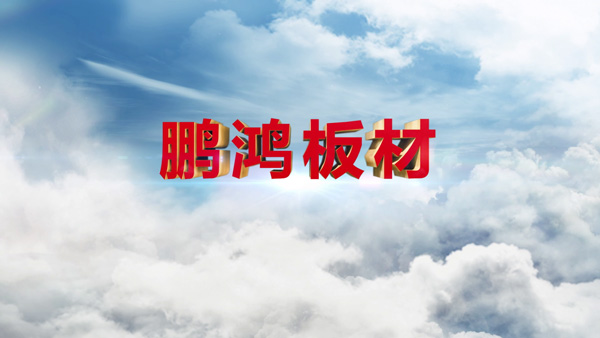 永利集团官网产品纪录片之板材篇